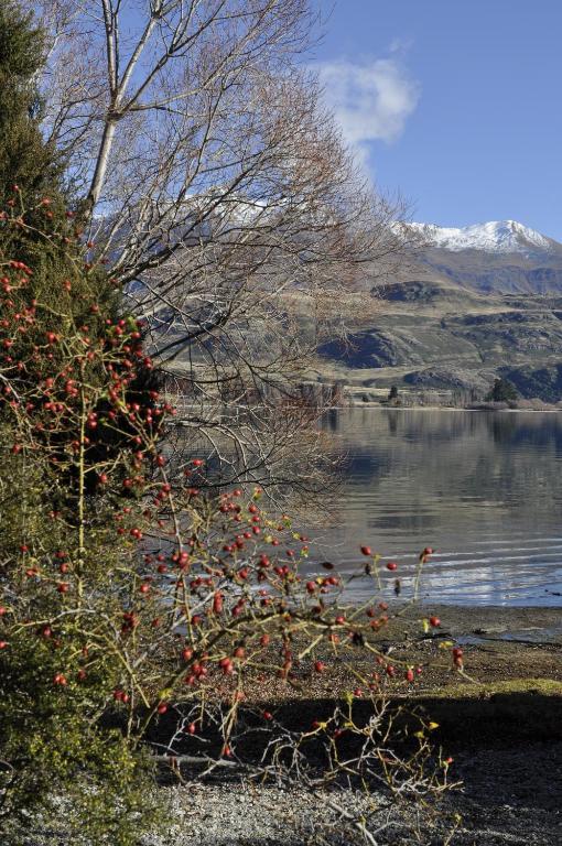 Lansdown Villa Apartments Wanaka Exteriör bild
